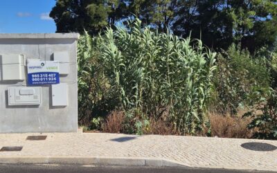 Tercena – terreno urbano 13